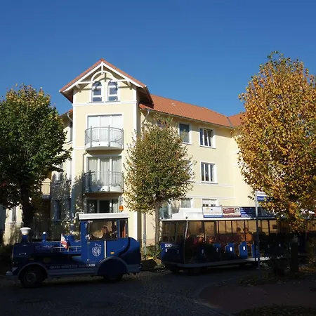 Ostseestern *